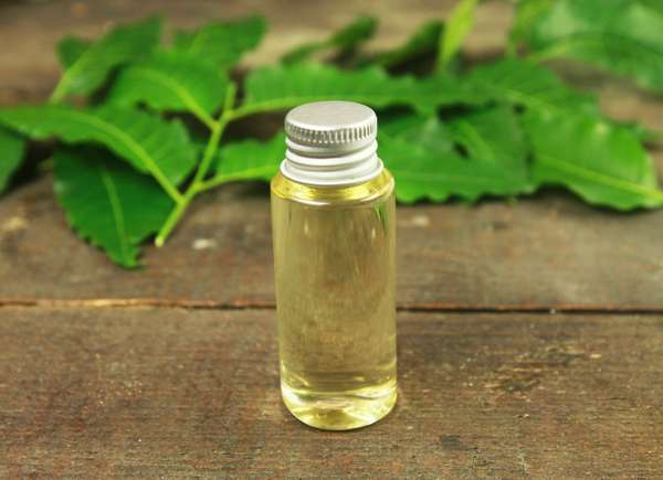 Neem Oil 